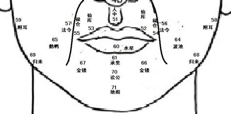 鼻子相|麦玲玲面相讲座之 鼻子 – 人相学